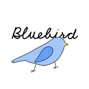Bluebird-Berry-CheeseCake-Eliquid-Online-in-Pakistan-by-VapeStation1