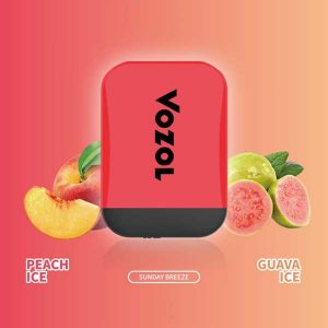 Vozol-Sunday-Breeze-D2-Dual-Pod-System-by-VapeStation-PK