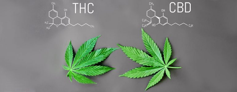 THC Vape | CBD E-Liquid | Hash E-Juice | Cannabis | Laws in Pakistan