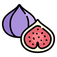 Fig