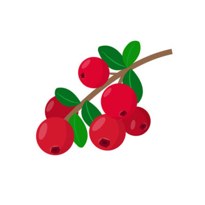 Red-Berries