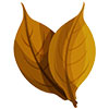 Gold Leaf Salt – G.M.T Tobacco 30ml (30 , 50 mg) Gold Leaf 6