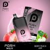 Posh Max 2.0 Disposable Vape – Blue B Ice 50mg (5200 Puffs) Disposable Vapes vapestation posh-max-2.0-berry-peach-apple
