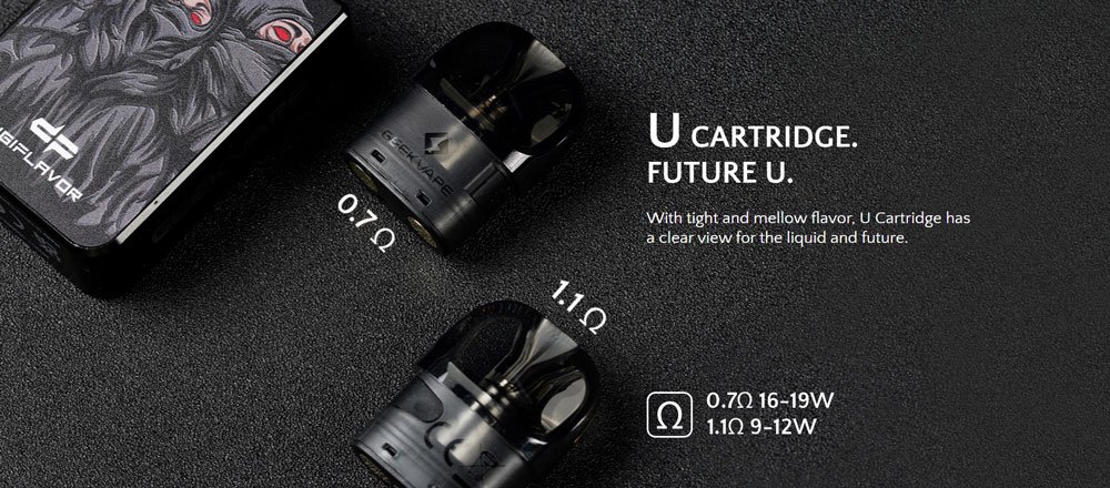 Geekvape-Pod-System-Kit-in-pakistan