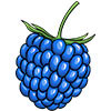 blue-raspberry