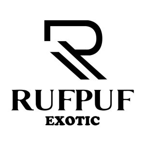 RUFPUF Salt Exotic Series – Green Apple Grape Ice 30ml (20, 35, 50 mg) Nic Salts vapestation 2 RUFPUF-EXOTIC-Kiwi-Dragonfruit-Ice-20mg
