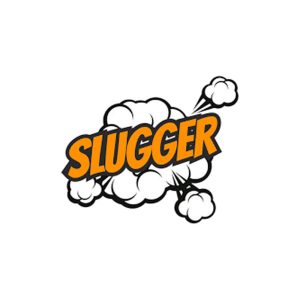 Flipper-By-Slugger-Disposable-Vape-Blueberry-Ice-+-Strawberry-Watermelon-Ice