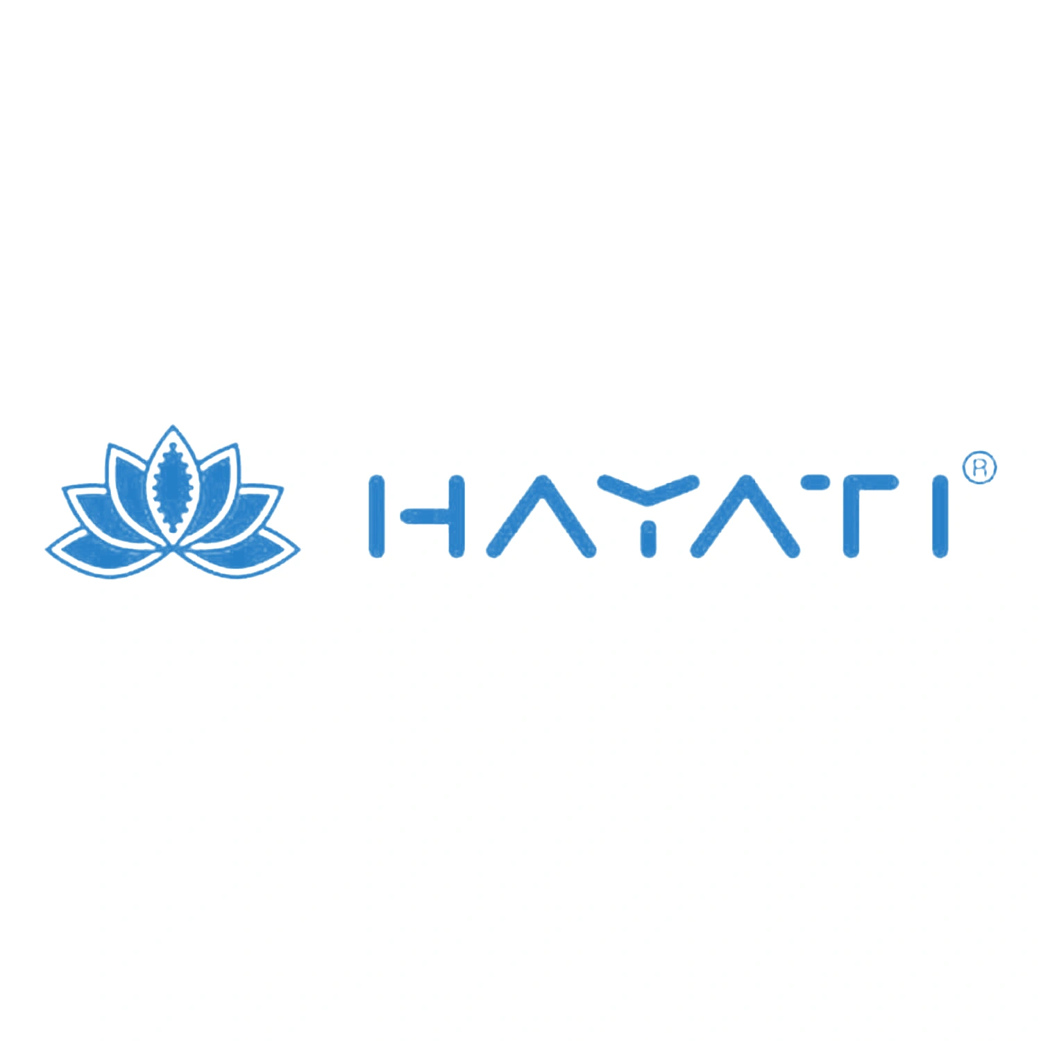 Hayati company logo on white background